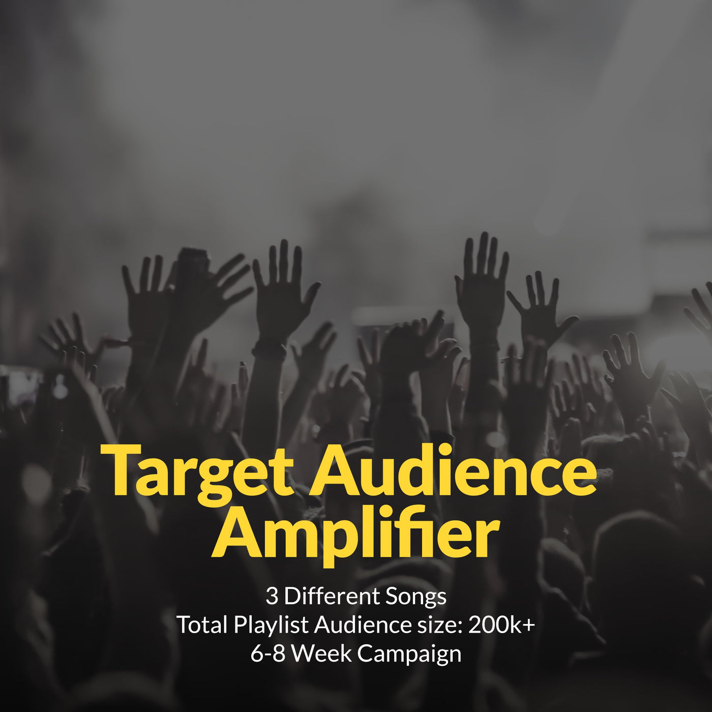 Target Audience Amplifier (3 Song Playlist Pitching & Placement Package) - De Novo Agency
