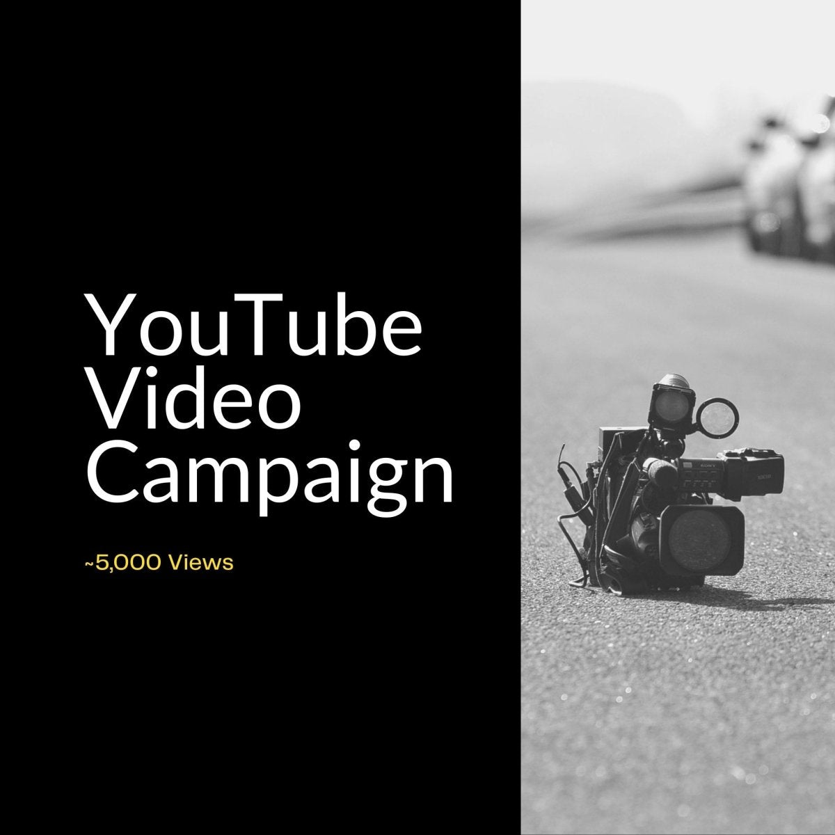 YouTube Video Ad Campaign | ~5,000 Views - De Novo Agency